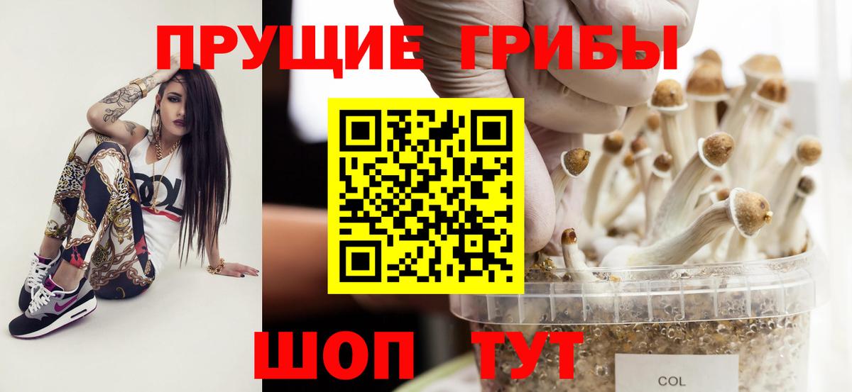 Псилоцибиновые грибы ЛСД  Вход с VPN  Галлюциногенные грибы ЛСД  Белая Калитва 