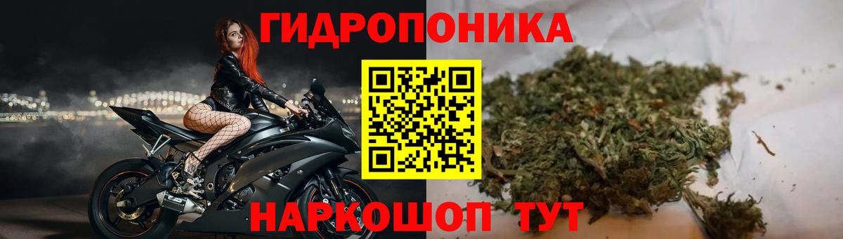 МАРИХУАНА планчик  Вход с VPN  Белая Калитва  МАРИХУАНА SATIVA & INDICA 